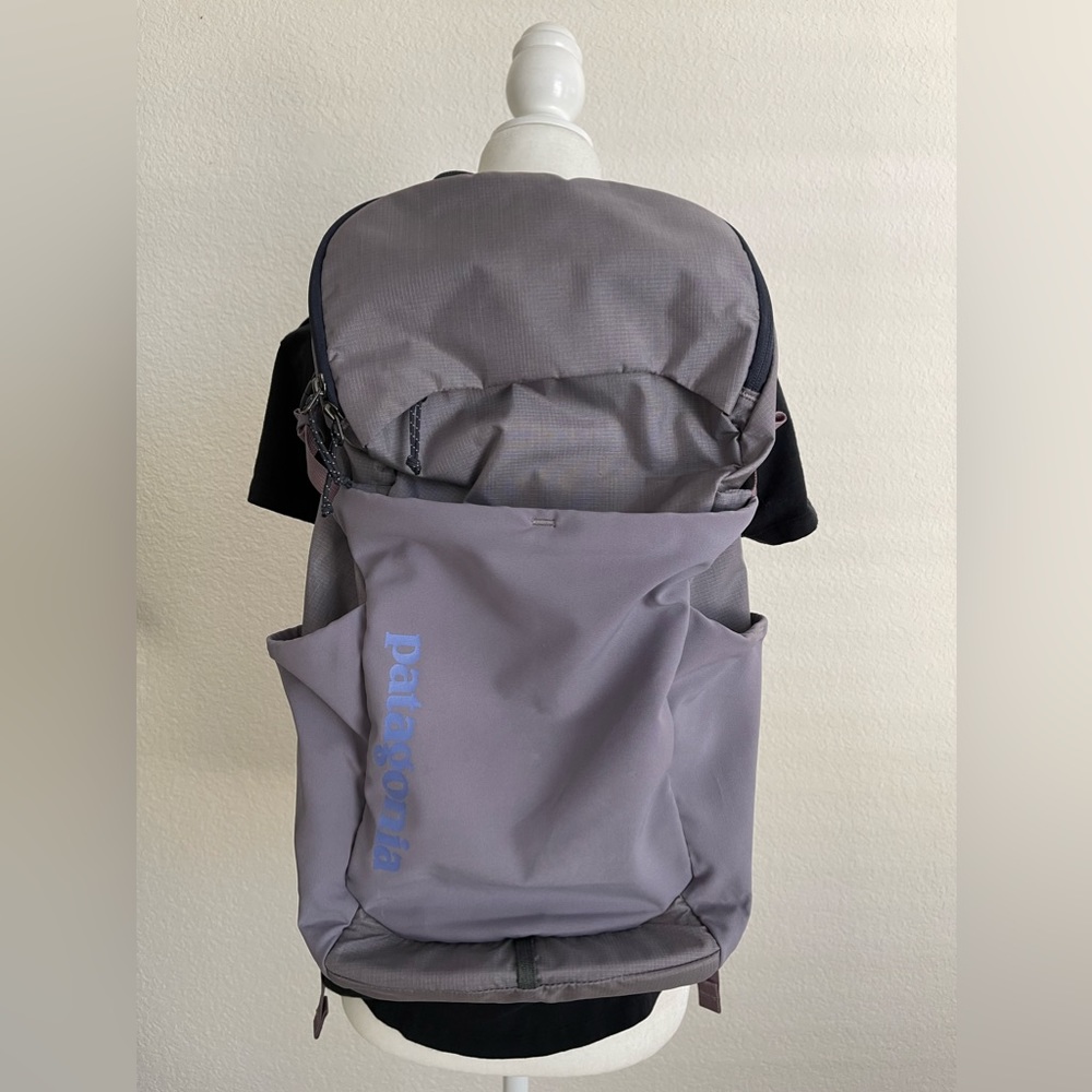Patagonia Backpack